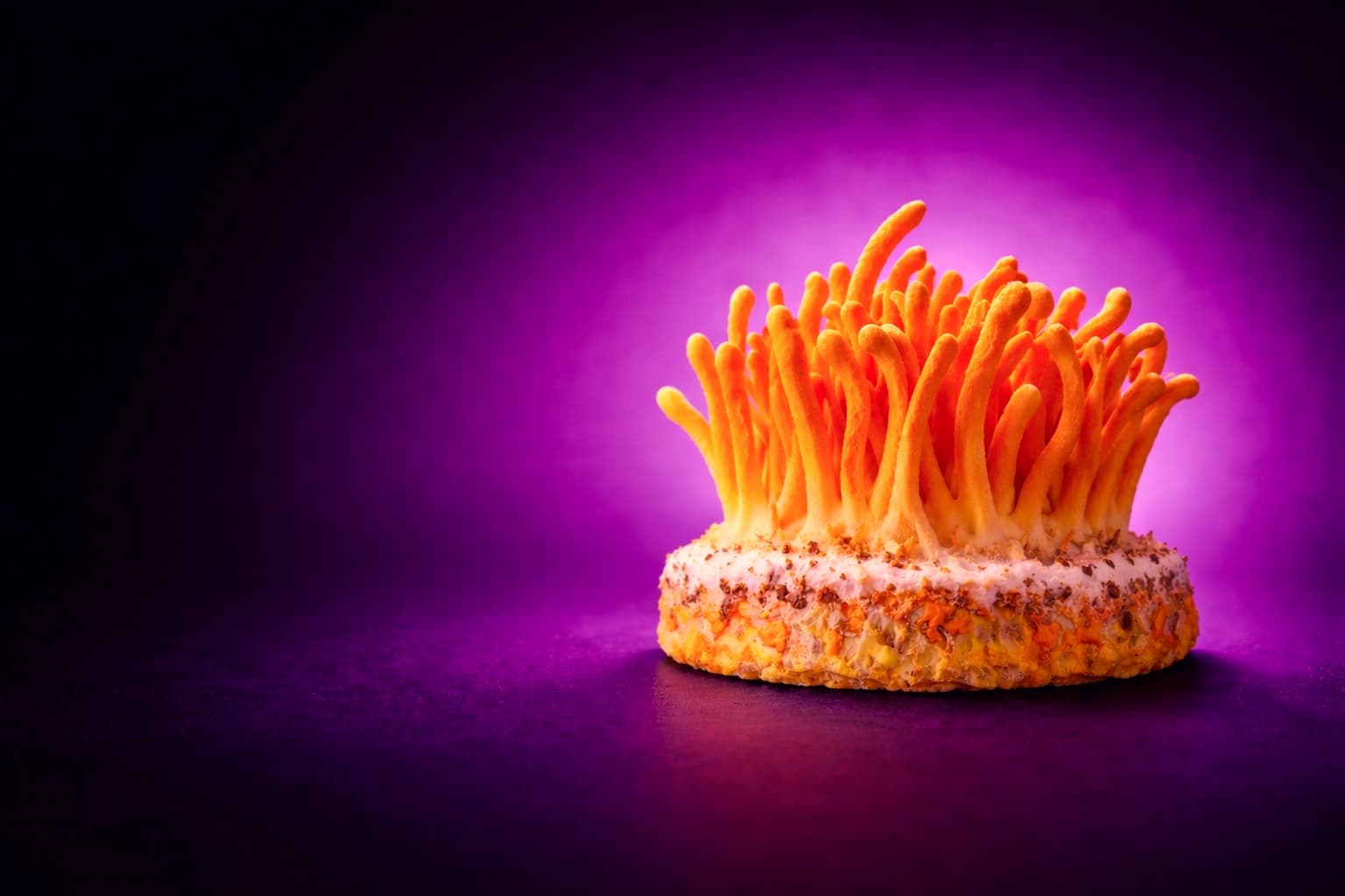 Mushroom backdrop